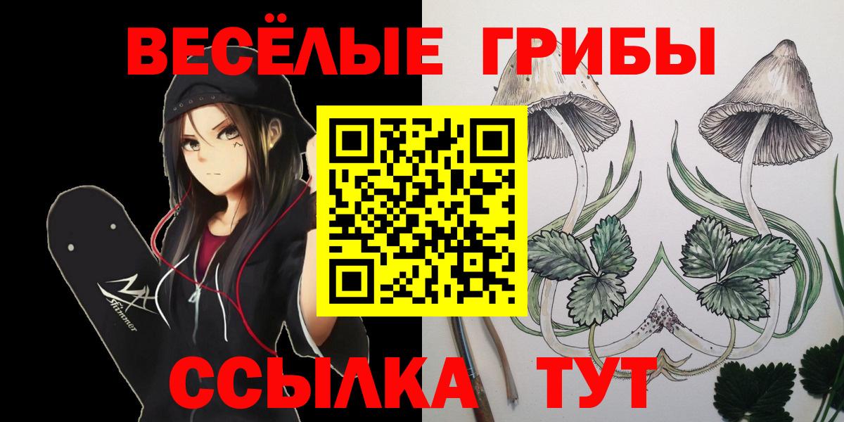 Галлюциногенные грибы Cubensis  Галлюциногенные грибы прущие грибы  Вход с VPN  Славгород 